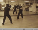 Pak Mei Kung Fu Sifu Martin Various Clips